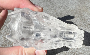 Quartz DRAGON Crystal Skull with Shimmery Rainbows - Focus, Transformation