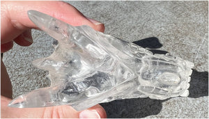 Quartz DRAGON Crystal Skull with Shimmery Rainbows - Focus, Transformation