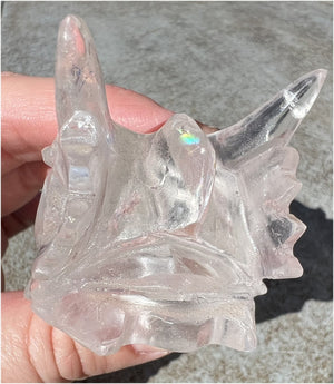 Quartz DRAGON Crystal Skull with Shimmery Rainbows - Focus, Transformation