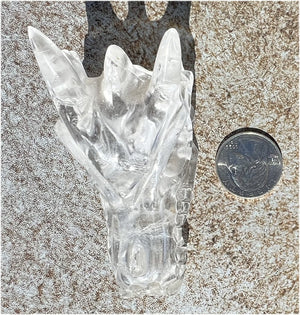 Quartz DRAGON Crystal Skull with Shimmery Rainbows - Focus, Transformation