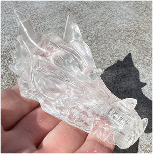 Quartz DRAGON Crystal Skull with Shimmery Rainbows - Focus, Transformation