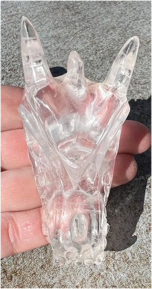 Quartz DRAGON Crystal Skull with Shimmery Rainbows - Focus, Transformation