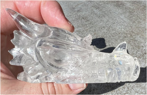 Quartz DRAGON Crystal Skull with Shimmery Rainbows - Focus, Transformation