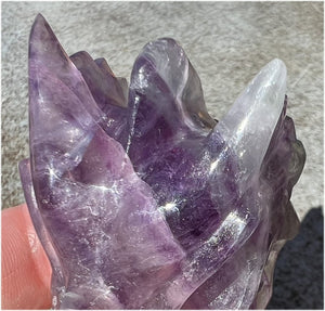 Fluorite DRAGON Crystal Skull - Great for meditation!
