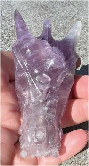 Fluorite DRAGON Crystal Skull - Great for meditation!