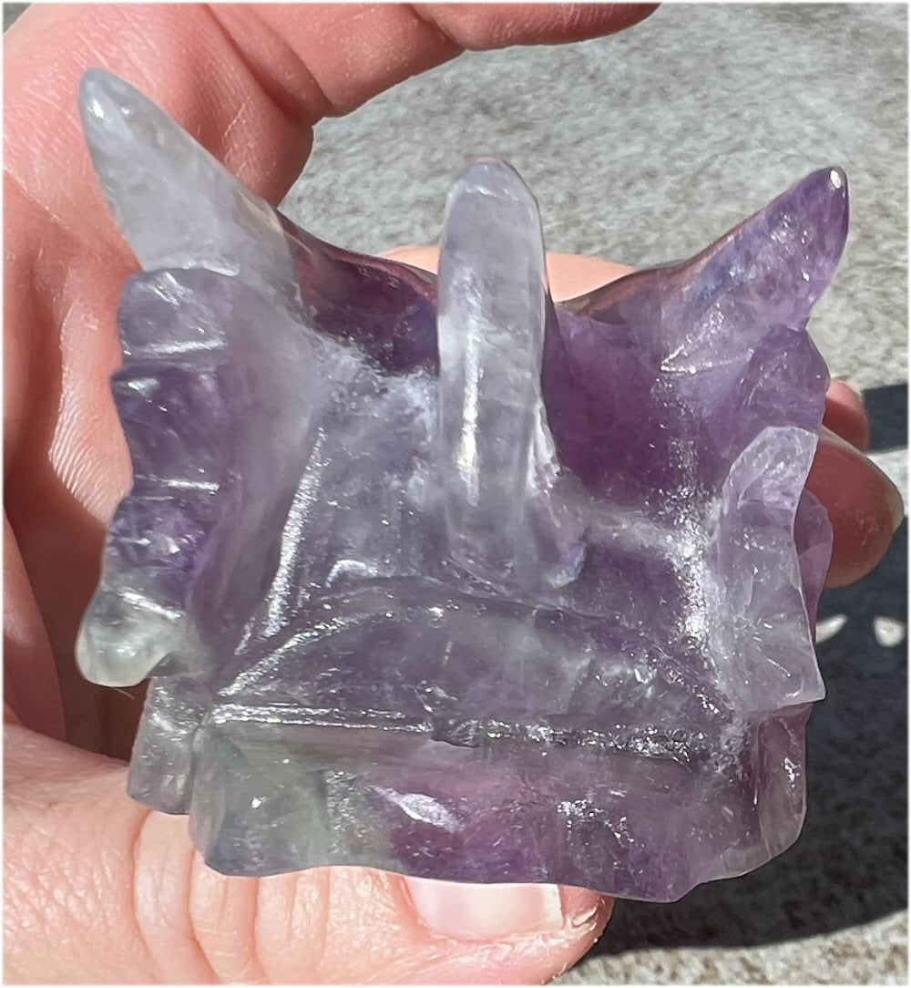 Fluorite DRAGON Crystal Skull - Great for meditation!