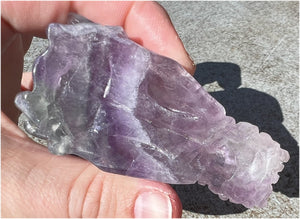 Fluorite DRAGON Crystal Skull - Great for meditation!