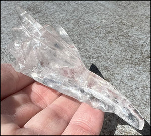 Quartz PHOENIX Crystal Skull with Lovely Clear areas, Interesting inclusions