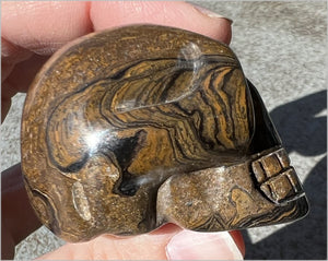 Stromatolite Fossil Stone CRYSTAL SKULL - Open to change, Root Chakra