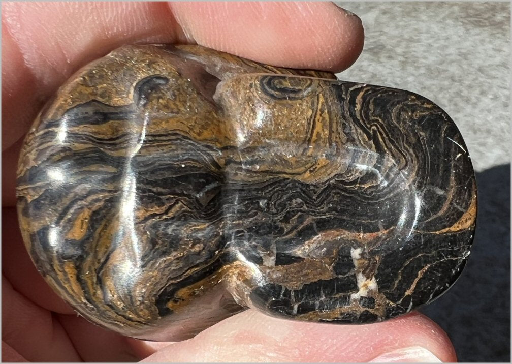 Stromatolite Fossil Stone CRYSTAL SKULL - Open to change, Root Chakra