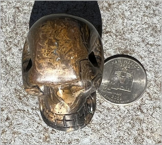 Stromatolite Fossil Stone CRYSTAL SKULL - Open to change, Root Chakra