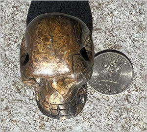 Stromatolite Fossil Stone CRYSTAL SKULL - Open to change, Root Chakra