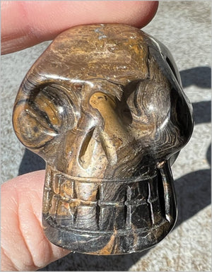 Stromatolite Fossil Stone CRYSTAL SKULL - Open to change, Root Chakra