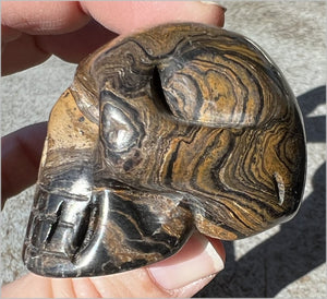 Stromatolite Fossil Stone CRYSTAL SKULL - Open to change, Root Chakra