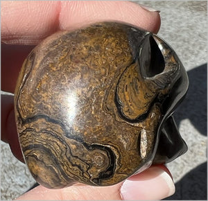 Stromatolite Fossil Stone CRYSTAL SKULL - Open to change, Root Chakra