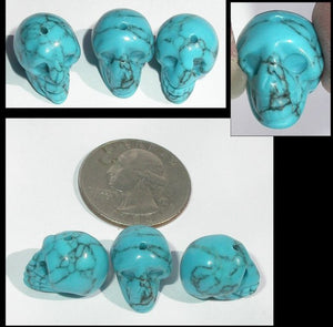1 TURQUOISE HOWLITE Crystal Skull Bead, Vertical Drill - Calm Communication!