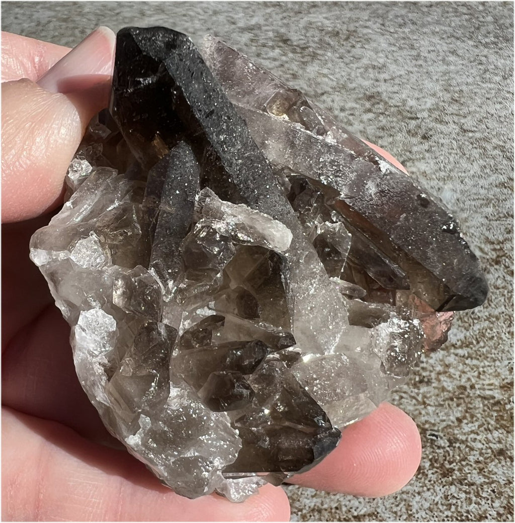 Sparkly Smoky Quartz Crystal Cluster with Bridge Crystals - Root Chakra
