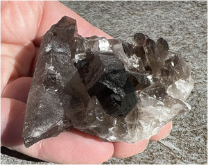 Sparkly Smoky Quartz Crystal Cluster with Bridge Crystals - Root Chakra