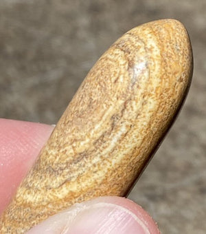 Picture Rock Jasper Massage Wand / Mini-Wand - Harmony, Positive energy flow