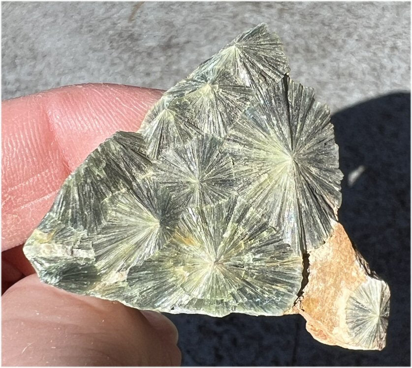 ~Old Stock~ Wavellite Crystal Specimen from Garland Co., Arkansas