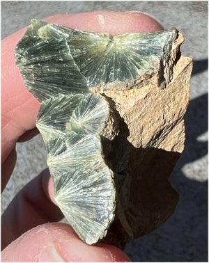 ~Old Stock~ Wavellite Crystal Specimen from Garland Co., Arkansas