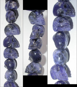 1 SODALITE Crystal Skull Bead, Vertical Drill - Throat Chakra!